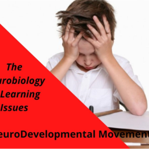 The Neurobiology of Learning Issues